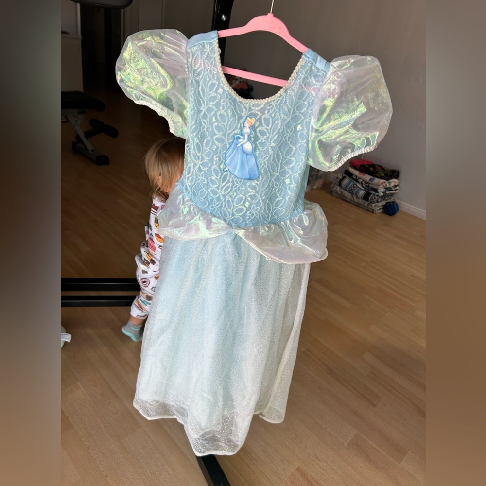Vintage Cinderella Dress